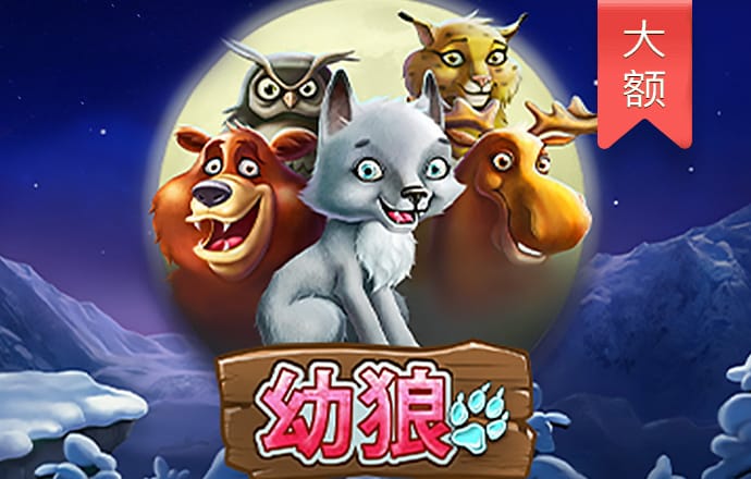 白菜官网彩金